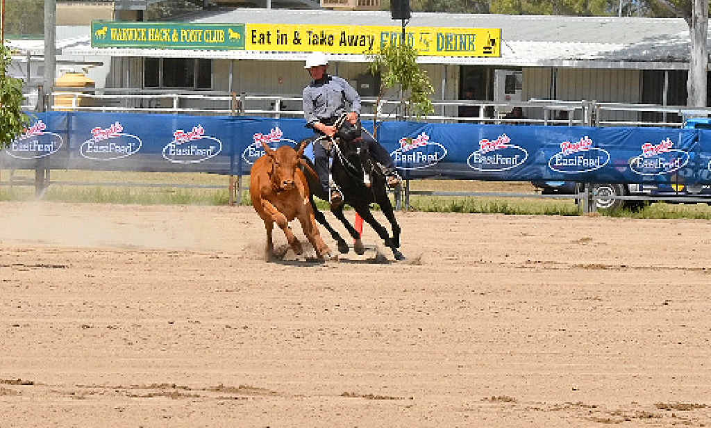 LIFETIME COMPETITOR: Local Michael Boyce has competed in the Warwick Gold Cup Campdraft for 50 years. LIFETIME COMPETITOR: Local Michael Boyce has competed in the Warwick Gold Cup Campdraft for 50 years.
